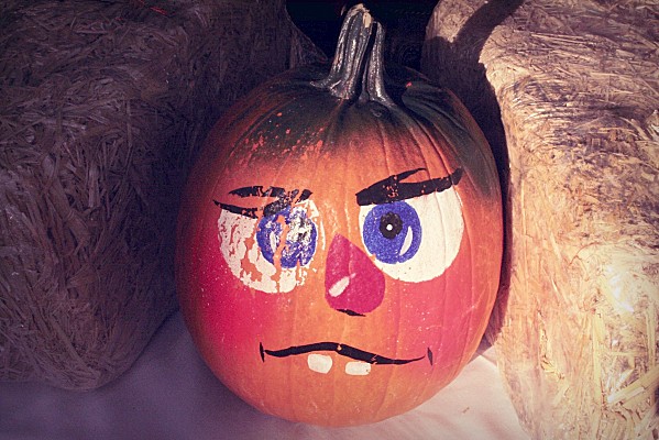 Halloween-Pumpkins-in-New-York--2-.jpg